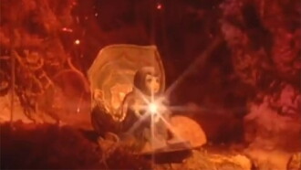 Sun Seed Trailer