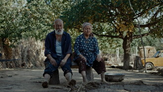 Sunday Trailer