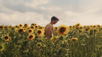 Sunflower Trailer