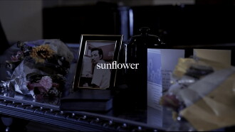 sunflower Trailer