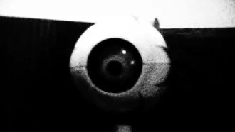 Sungazer Trailer