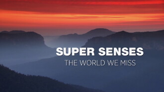 Super Senses Trailer