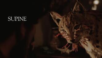 Supine Trailer