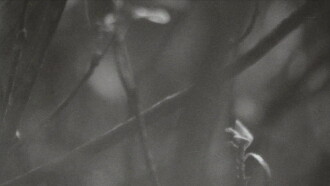 Surface Memory Oblivion Trailer