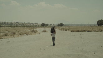 Surfaces Trailer