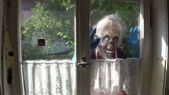 Swabian Granny Gore Terror Trailer