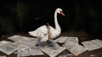 Swan Lady Trailer