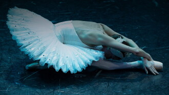 Swan Lake Filmed for IMAX Trailer