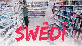 Swêdî Trailer
