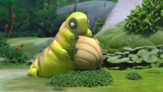 Sweet Cocoon Trailer