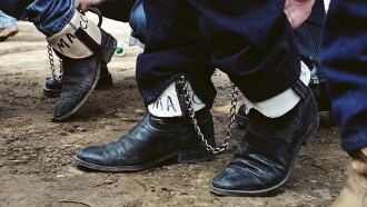 Sweethearts of the Prison Rodeo Trailer