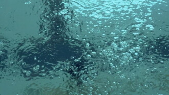 Swimming Trailer