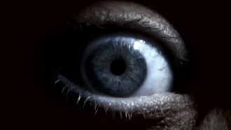 Symphony In Blood Red Trailer