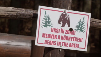 Szomszédok Trailer
