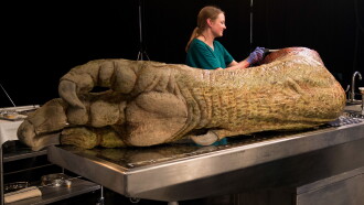 T. Rex Autopsy Trailer