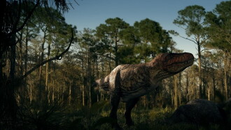 T. Rex: Ultimate Survivor Trailer