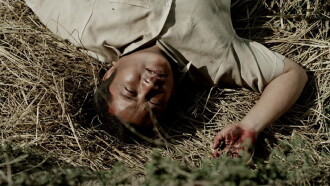 Taandro Trailer