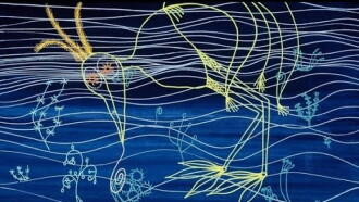 Taking a Line for a Walk: A Homage to the Work of Paul Klee Trailer