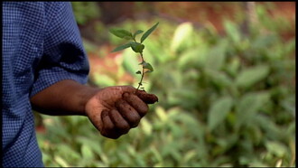 Taking Root: The Vision of Wangari Maathai Trailer
