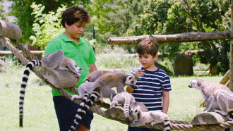 Talking Animals Trailer