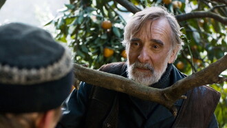 Tangerines Trailer