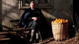 Tangerines Trailer