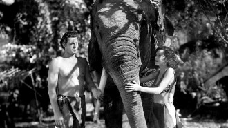 Tarzan and His Mate Trailer