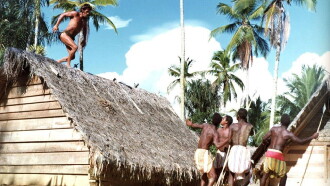 Tarzan in the Golden Grotto Trailer