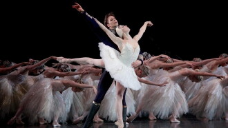 Tchaikovsky - Swan Lake Trailer