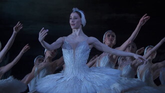 Tchaikovsky: Swan Lake Trailer