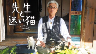 Teacher and Stray Cat Trailer