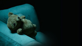 Teddy Bears Are for Lovers Trailer