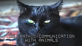 Telepathic Communication with Animals Trailer