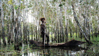 Ten Canoes Trailer