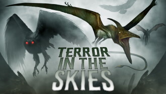 Terror in the Skies Trailer
