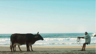 The Absent Trailer