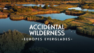 The Accidental Wilderness: Europe's Everglades Trailer