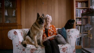 The Age of Loneliness Trailer