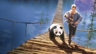 The Amazing Panda Adventure Trailer