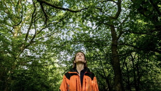 The Arborist Trailer