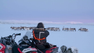The Arctics Trailer