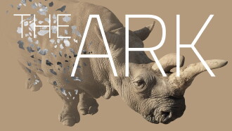 The Ark Trailer