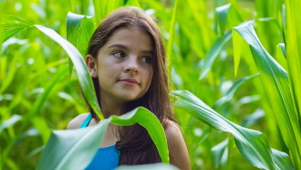 The Awakening of the Ants: Childhood Trailer