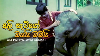 The Baby Elephants Are Yours and Mine Trailer