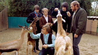 The Beach Boys: Making Pet Sounds Trailer