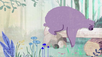 The bear who swallowed a fly Trailer