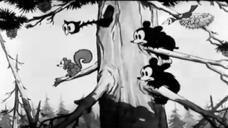 The Bears and the Bees Trailer