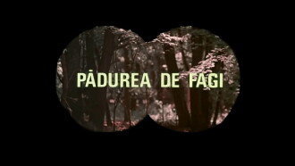 The Beech Forest Trailer