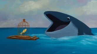 The Bird & The Whale Trailer