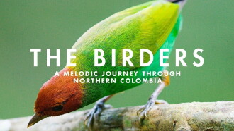 The Birders Trailer